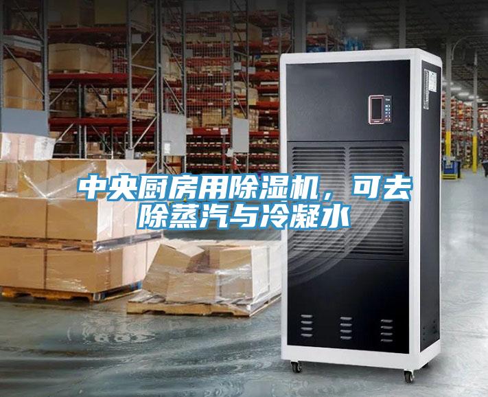 中央廚房用除濕機(jī)，可去除蒸汽與冷凝水