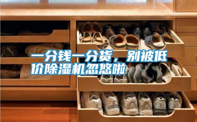 一分錢一分貨，別被低價除濕機忽悠啦