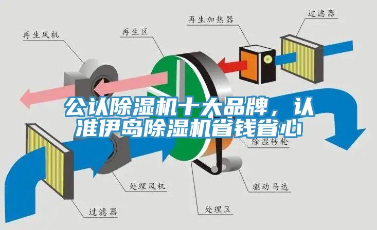 公認(rèn)除濕機(jī)十大品牌，認(rèn)準(zhǔn)伊島除濕機(jī)省錢省心