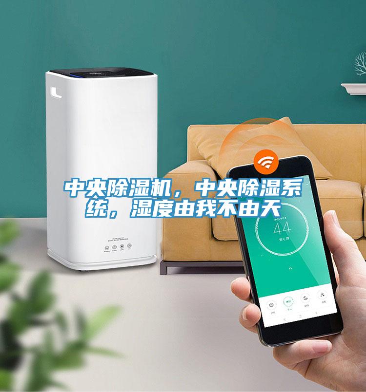 中央除濕機(jī)，中央除濕系統(tǒng)，濕度由我不由天
