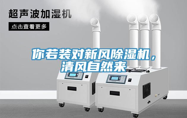 你若裝對(duì)新風(fēng)除濕機(jī)，清風(fēng)自然來(lái)
