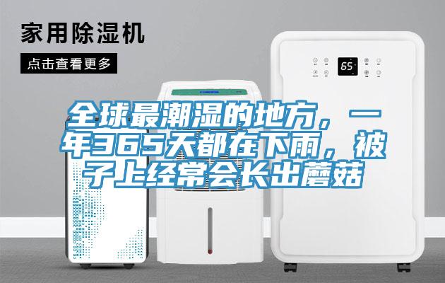 全球最潮濕的地方，一年365天都在下雨，被子上經(jīng)常會長出蘑菇