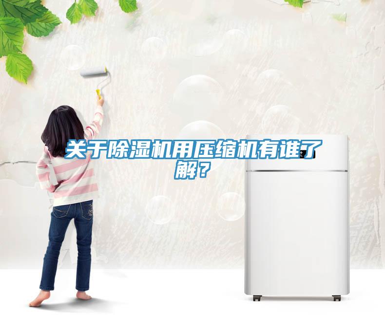 關(guān)于除濕機用壓縮機有誰了解？