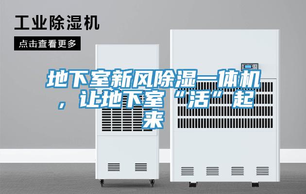 地下室新風除濕一體機，讓地下室“活”起來