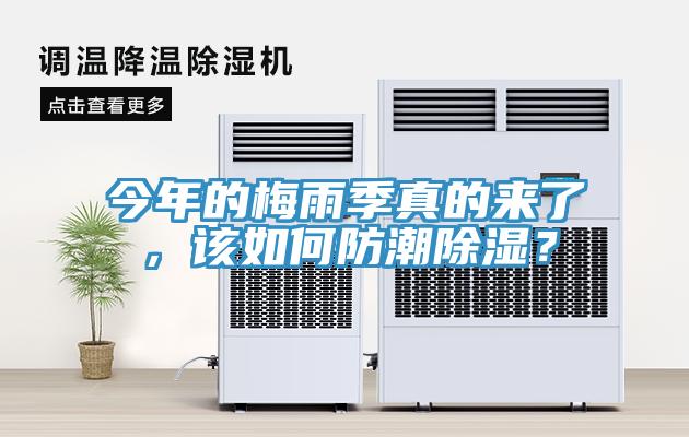 今年的梅雨季真的來了，該如何防潮除濕？