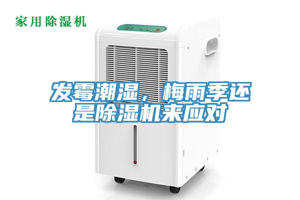 發(fā)霉潮濕，梅雨季還是除濕機(jī)來應(yīng)對