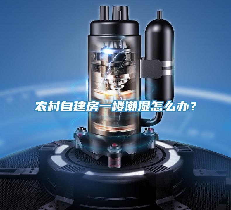 農(nóng)村自建房一樓潮濕怎么辦？