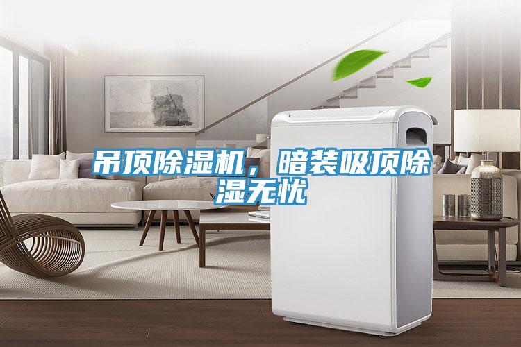 吊頂除濕機，暗裝吸頂除濕無憂
