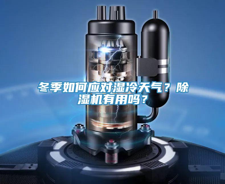 冬季如何應(yīng)對濕冷天氣？除濕機有用嗎？