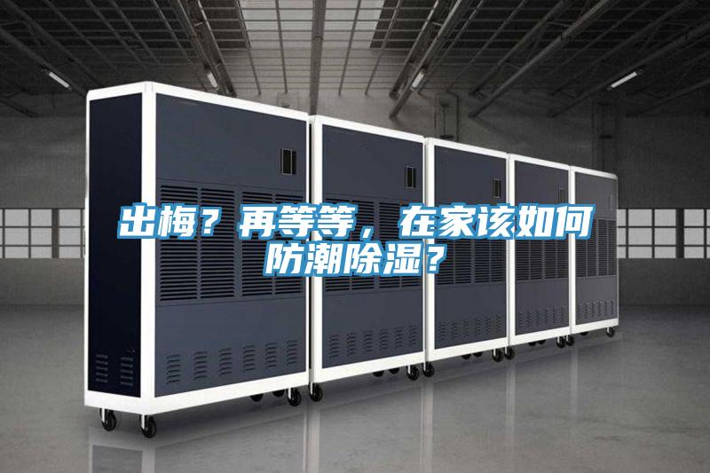 出梅？再等等，在家該如何防潮除濕？
