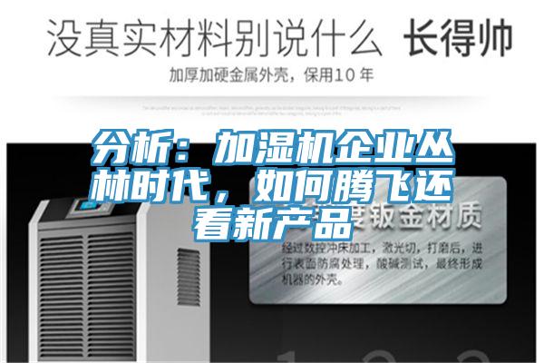 分析：加濕機(jī)企業(yè)叢林時(shí)代，如何騰飛還看新產(chǎn)品