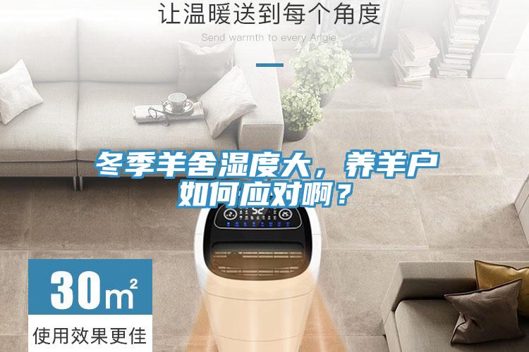 冬季羊舍濕度大，養(yǎng)羊戶如何應(yīng)對??？