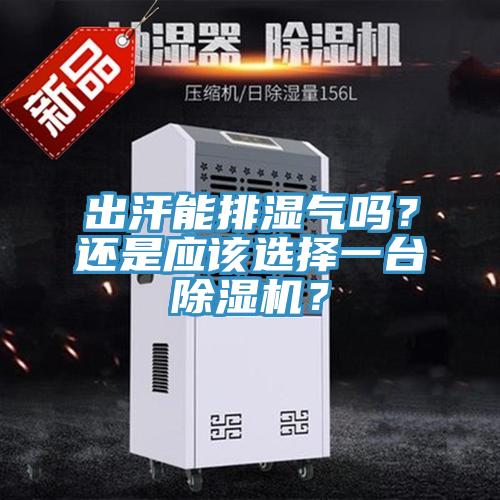 出汗能排濕氣嗎？還是應(yīng)該選擇一臺除濕機(jī)？