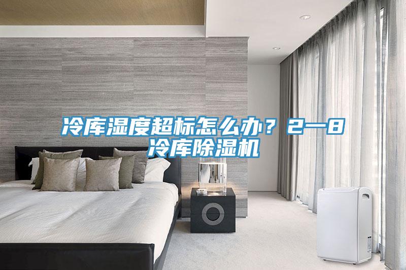 冷庫(kù)濕度超標(biāo)怎么辦？2一8℃冷庫(kù)除濕機(jī)
