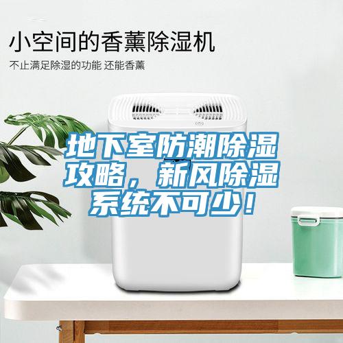 地下室防潮除濕攻略，新風除濕系統(tǒng)不可少！