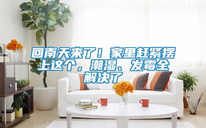 回南天來了！家里趕緊擺上這個，潮濕、發(fā)霉全解決了