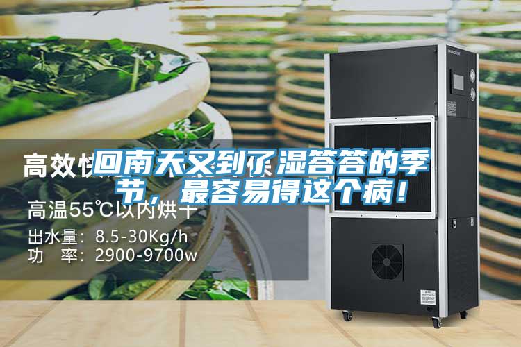 回南天又到了濕答答的季節(jié)，最容易得這個(gè)??！