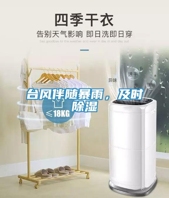 臺(tái)風(fēng)伴隨暴雨，及時(shí)除濕