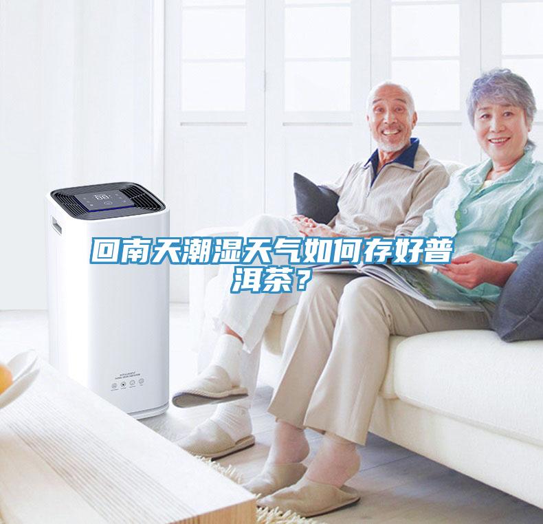 回南天潮濕天氣如何存好普洱茶？