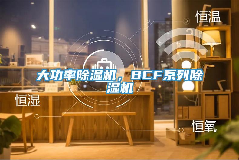 大功率除濕機，BCF系列除濕機