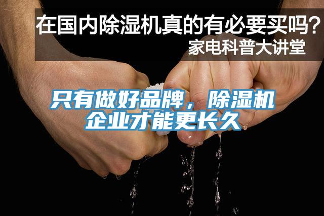 只有做好品牌，除濕機企業(yè)才能更長久