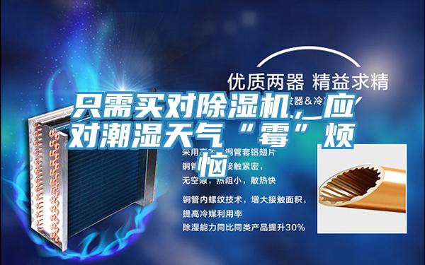 只需買對(duì)除濕機(jī)，應(yīng)對(duì)潮濕天氣“霉”煩惱