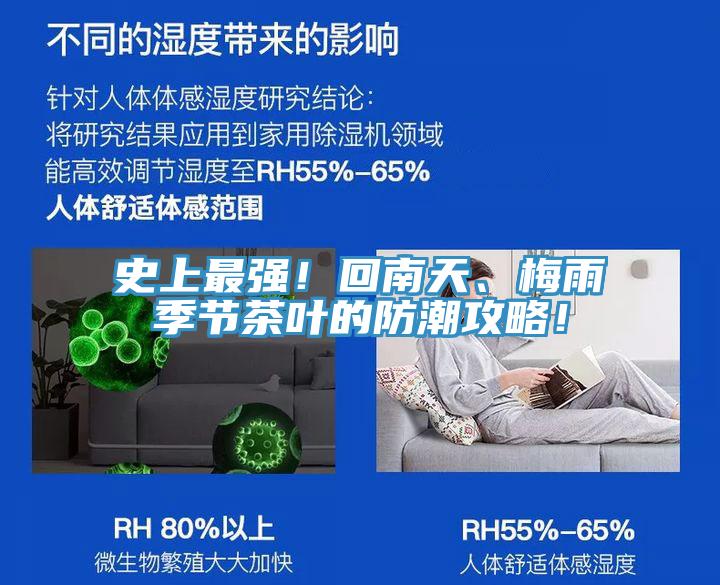 史上最強(qiáng)！回南天、梅雨季節(jié)茶葉的防潮攻略！
