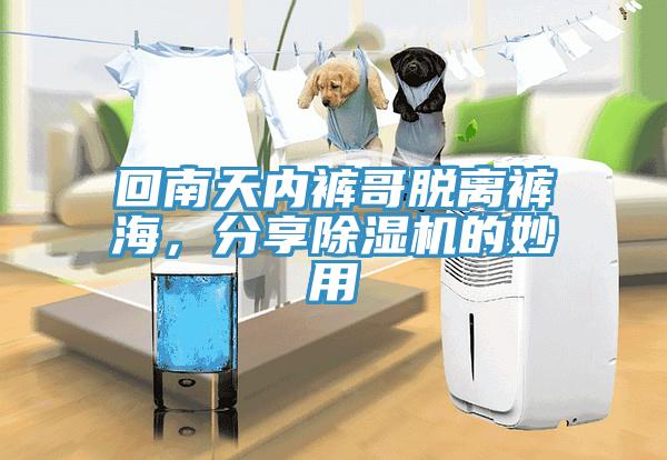 回南天內褲哥脫離褲海，分享除濕機的妙用