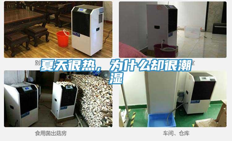 夏天很熱，為什么卻很潮濕