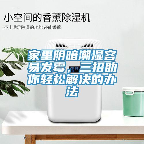 家里陰暗潮濕容易發(fā)霉，三招助你輕松解決的辦法