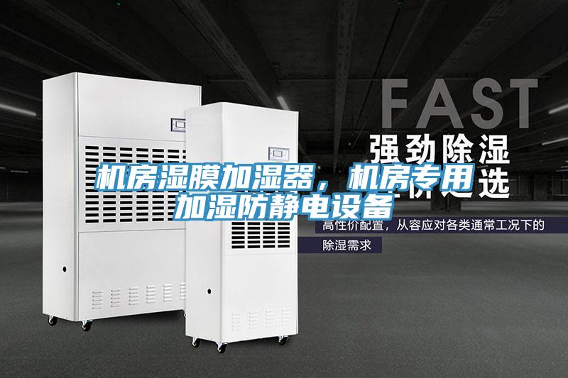 機房濕膜加濕器，機房專用加濕防靜電設備