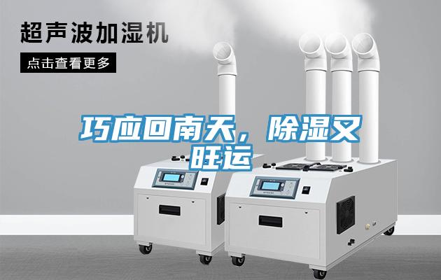 巧應回南天，除濕又旺運