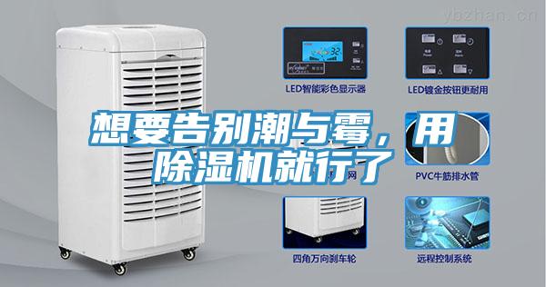 想要告別潮與霉，用除濕機(jī)就行了