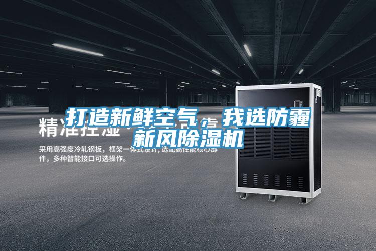 打造新鮮空氣，我選防霾新風(fēng)除濕機(jī)