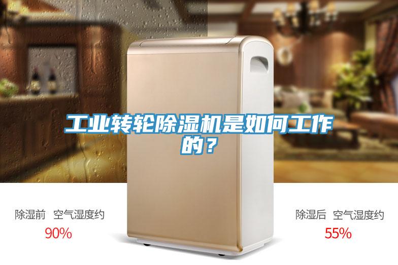 工業(yè)轉(zhuǎn)輪除濕機(jī)是如何工作的？