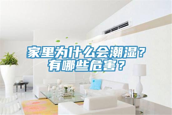 家里為什么會(huì)潮濕？有哪些危害？