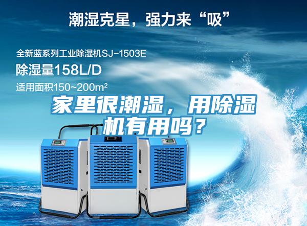家里很潮濕，用除濕機有用嗎？