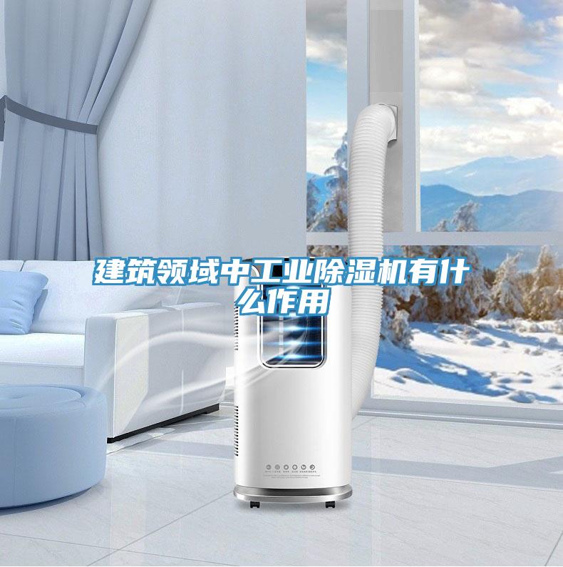 建筑領域中工業(yè)除濕機有什么作用