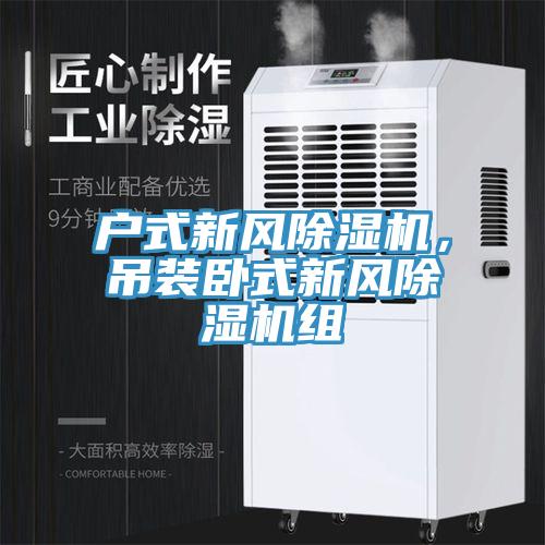 戶式新風(fēng)除濕機，吊裝臥式新風(fēng)除濕機組