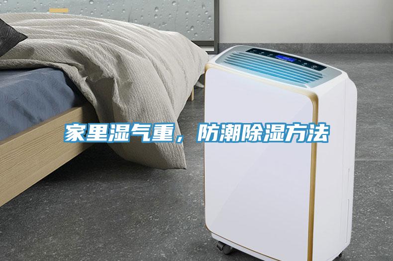 家里濕氣重，防潮除濕方法
