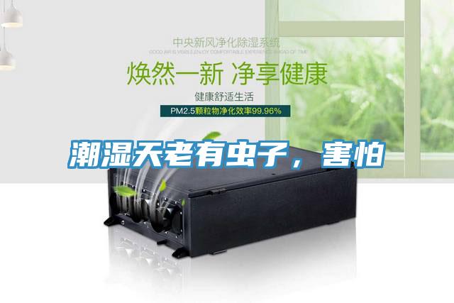潮濕天老有蟲子，害怕