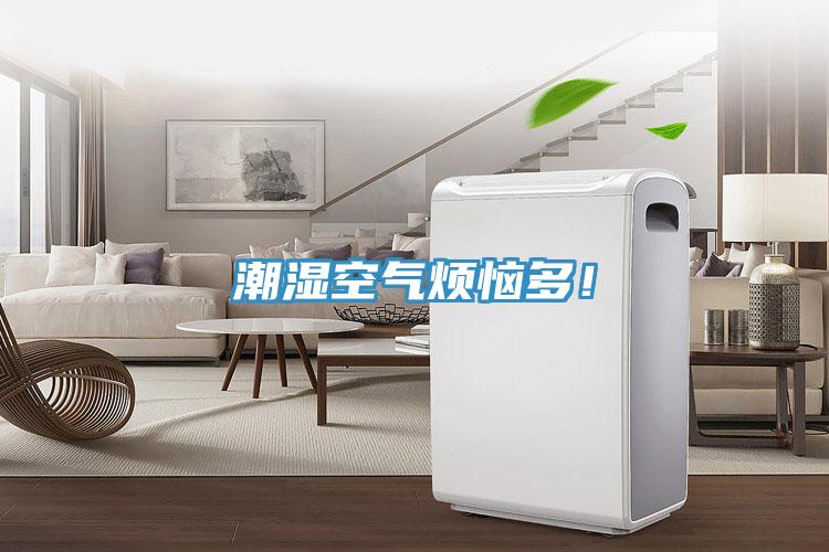 潮濕空氣煩惱多！