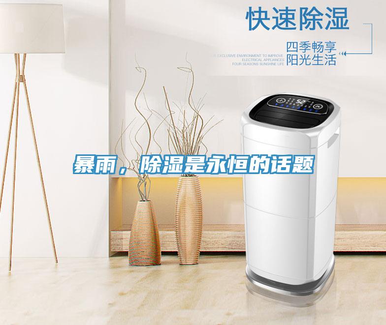 暴雨，除濕是永恒的話題