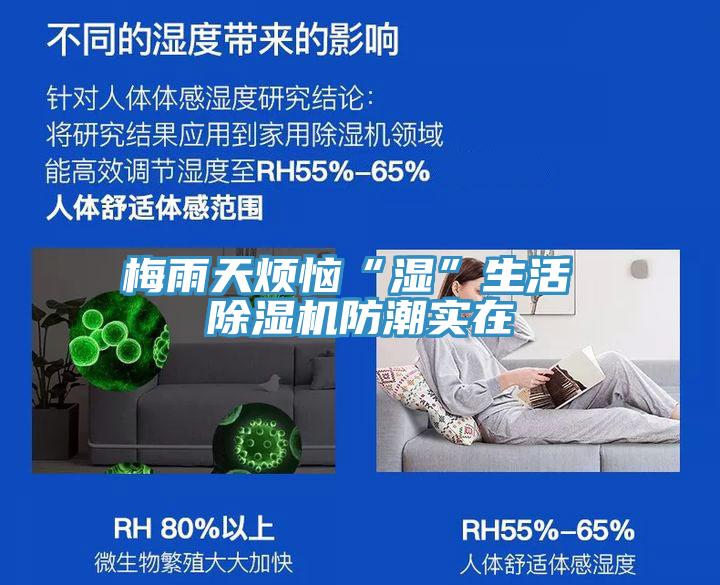 梅雨天煩惱“濕”生活 除濕機(jī)防潮實在