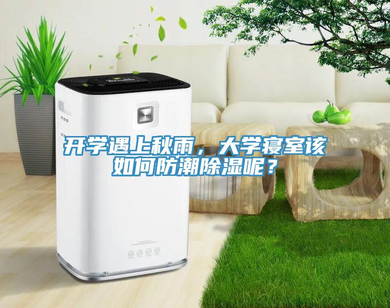 開(kāi)學(xué)遇上秋雨，大學(xué)寢室該如何防潮除濕呢？
