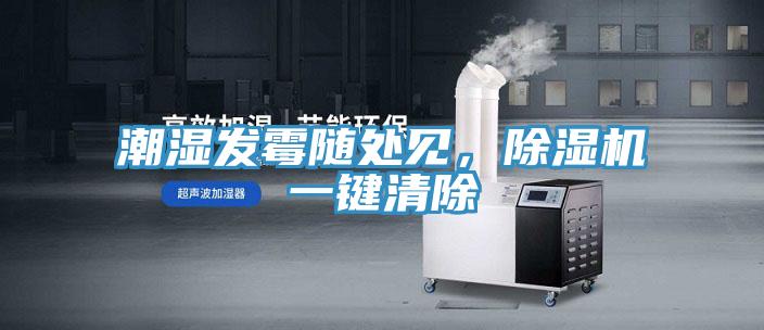 潮濕發(fā)霉隨處見，除濕機一鍵清除