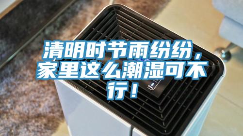 清明時(shí)節(jié)雨紛紛，家里這么潮濕可不行！