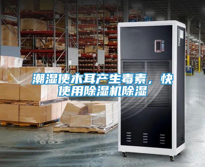 潮濕使木耳產(chǎn)生毒素，快使用除濕機除濕