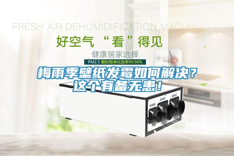 梅雨季壁紙發(fā)霉如何解決？這個有備無患！