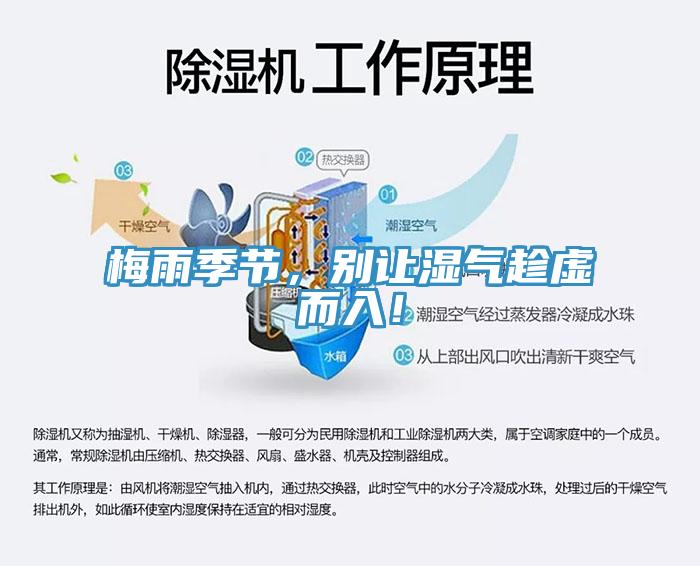 梅雨季節(jié)，別讓濕氣趁虛而入！
